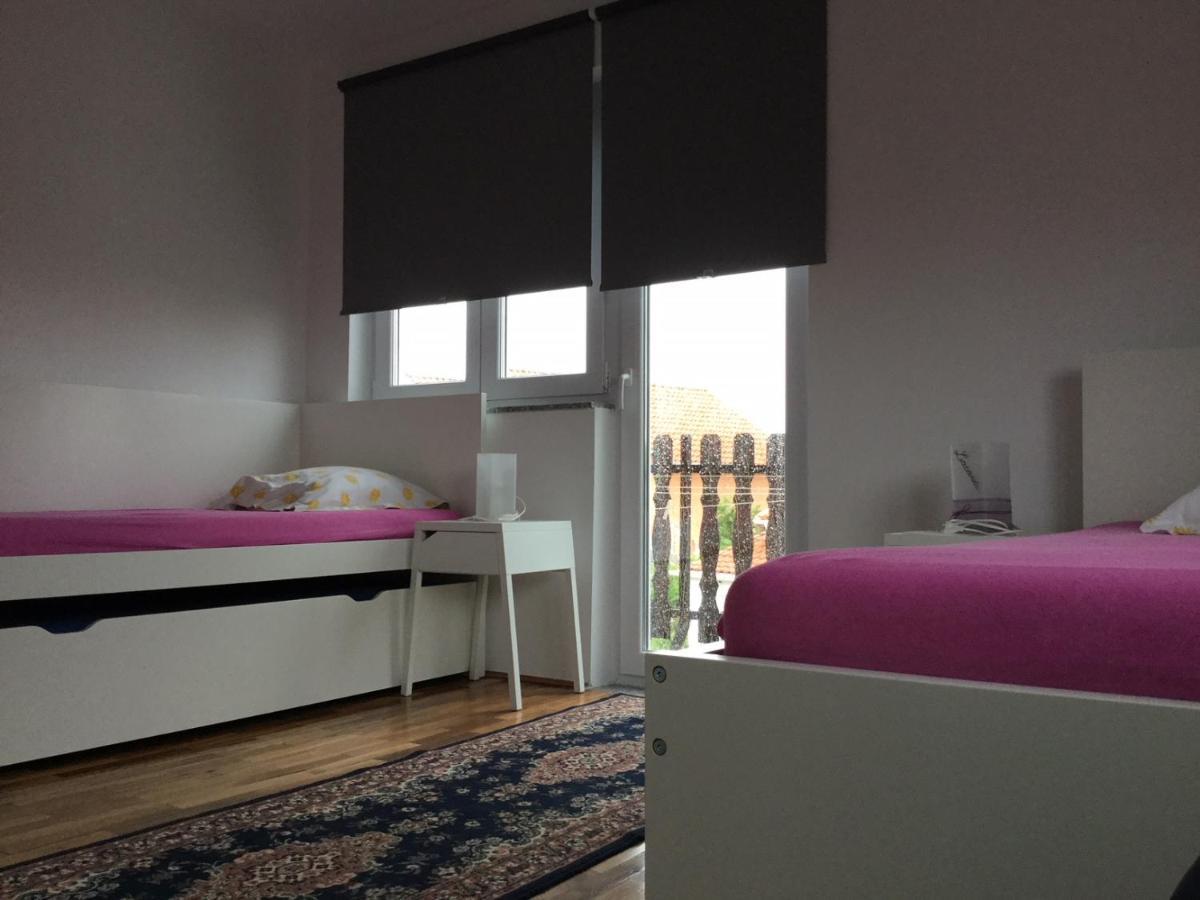 Apartmani Smokva Avec Terasse Vir Dış mekan fotoğraf